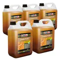 Isolbau Leinöl-Firnis - 5 x 5 Liter - Leinöl für Holz - Holzschutz für Außen und Innen Wetterfest - Doppelt gekochtes Holzöl als natürlicher Schutz für Möbel - Wasserabweisend