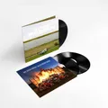 3x 12" LP Vinyl Die Toten Hosen Trink aus wir müssen gehen Alles muss raus -PN37