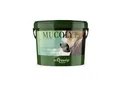 St. Hippolyt Atemwegskur Mucolyt 10 kg