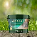 Mucolyt 10 kg - Freier Atem durch eine einzigartige Kräutervielfalt