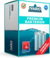 Ivario Wassertest Bakterien Premium, auf E.-Coli, Legionellen, Pseudomonaden