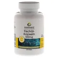 Fischöl Kapseln 500 mg 170 g