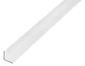 Alberts 474638 Winkelprofil | Aluminium, silberfarbig eloxiert | 2000 x 20 x 20 mm