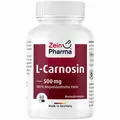 L-CARNOSIN 500 mg Kapseln 60 St PZN10198262