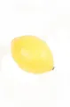 artplants Zitrone Plastik BAIBA, gelb, 7,5cm