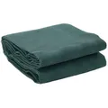 vidaXL Zeltteppiche Zeltteppich Anthrazit 4x2 m Grün Polyethylen 2 x 2 m