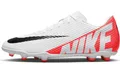 Nike Vapor 15 Club FG/MG Fußballschuhe Herren
