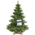 Fairytrees Künstlicher Weihnachtsbaum FT14, Nordmanntanne, grüner Stamm, mit Echtholz Baumständer grün 150 cm