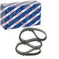 BOSCH KEILRIPPENRIEMEN 6PK1590 passend für AUDI A4 A5 A6 Q5 CITROËN C5 C6 C8 FIA