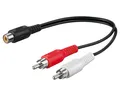 1 Stück Y-Kabel Audio Cinch Kupplung <> 2x Chinch St. Verteiler Splitter 0,2m