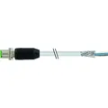 Murr Elektronik M12-Stecker (7000-17081-2911000)