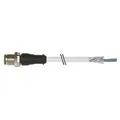 Murrelektronik M12-Stecker gerade 7000-17081-2911000