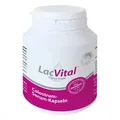 Colostrum Kapseln Lacvital