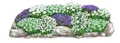 Dehner Staude Bio Stauden-Set Alpengarten, je 5-20 cm, Ø Topf 9 cm, mehrjährige insektenfreundliche Gartenstauden, Farben blau und weiß