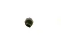 BOSCH 0 261 230 402 Sensor, Öltemperatur/-druck für BMW,MINI