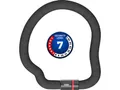 Abus Goose Lock 6206K/110 Kettenschloss (110cm | schwarz)