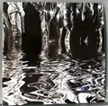 C Word [Vinyl LP]