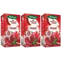 Herbapol Granatapfel Tee 60 Teebeutel - Früchtetee und Kräutertee Mischung