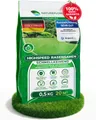 Natureflow Rasensamen schnellkeimend Frühjahr & Sommer 0,5kg – Made in Germany – Rasensaat 2