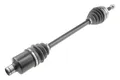 ANTRIEBSWELLE passend für RENAULT CLIO II 1.2,1.4,1.6,1.5DCI,1.9D 98-05, KANGOO