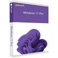 Windows 11 Pro | Sofort Download