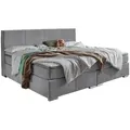 Boxxx Familienboxspringbett, Hellgrau, Holz, Kunststoff, H2 + H3, 7-Zonen, Höhe ca. 21 cm, 240x200 cm, Topper durchgehend, Partnermatratze mit durchgehendem Bezug, Familienbett, Schlafzimmer, Betten, Familienbetten