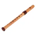4119 Adris Dream Recorder