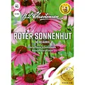 Roter Sonnenhut