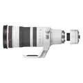Canon RF 100-300mm f/2.8 L IS USM + Extender RF 2x