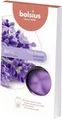 Bolsius Aromatic Wax Melts Lavender, 6er Pack Duftwachs Schmelzblüten