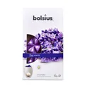 Bolsius Wax Melts Lavendel 6er