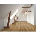 Check Vinylboden XXL Kork; Farbton: Mittel >> 2516 Tajo; 2517 Seva; 2518 Tarifa <<, Klick -Vinyl (Lang- und Breitdiele 1522 x 225 x 5,5 mm), inkl. Kork Trittschall, In 1 Packung: 6 Stück, 2,055 m2, 1 Packung: 6 Stück, 2,055 m2, CHECK comfort braun