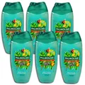 6 er Pack Palmolive Aloe You Duschgel 6 x 250 ml
