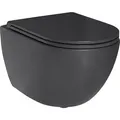 Combi-Pack Elanda Wand-Tiefspül-WC schwarz matt spülrandlos mit WC Sitz softclose Evenes