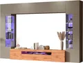 Wohnwand "New Egypt", (4 St Breite 290cm), bestehend aus 2 Stauraumvitrinen, 1 Lowboard, 1 Hängeschrank, taube/eiche wotan B/H/T: 290 cm x 191,2 cm x 40 cm