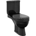 Toilette Mit Spülkasten Schwarz Vidaxl