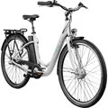 Agon Aurora 28 Zoll E-Bike telegrey