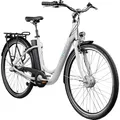 AGON Aurora E Bike Citybike 28 Zoll Elektrofahrrad 250W Motor bis 115 km 3 Gang 10,4 Ah Lithium Ionen Akku Gepäckträger Damen und Herren 150-175 cm (telegrey, 48 cm)