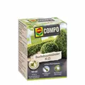 COMPO Buchsbaumzünsler K.O. - schnelle Hilfe für Zierpflanzen, 50ml