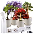 Royal Gardineer Bonsai Set: Bonsai-Anzuchtset, 4 Arten, Töpfe, Untersetzer, Clipper, Sprühflasche (Pflanzenzucht, Anzucht, Topf)