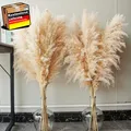 Pampas Gras XXL Trockenblumen für Boho Deko Hochzeit Wohnideen 100cm Set