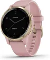 Garmin Vivoactive 4s 40 mm rosa am Silikonarmband rosa