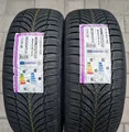 2x 205/55 R16 91H Nexen WinGuard Snow G WH2 M+S Winterreifen