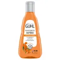 Guhl Feuchtigkeitsaufbau Shampoo für trockenes sprödes Haar 250ml