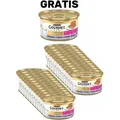 Purina Gourmet Gold Kitten Mousse für Kätzchen mit Kalbfleisch 24x85g