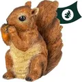 VERDOBA Wetterfeste Wald Gartenfigur Eichhörnchen
