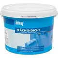 Knauf Flächendicht 10 kg