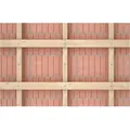 Duoxpand 10x80 T K (4) - Fischer