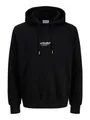 JACK & JONES Jjesoho Sweat Hood Noos