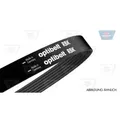 1x Keilrippenriemen OPTIBELT 6 PK 1100 passend für BMW CITROËN FIAT ISUZU VW